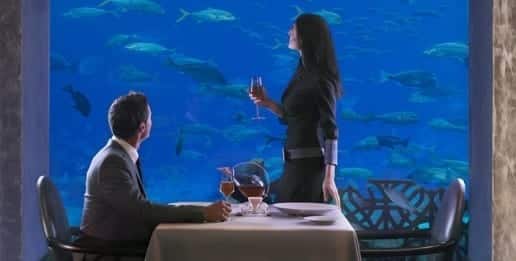 Atlantis Lunch or Dinner