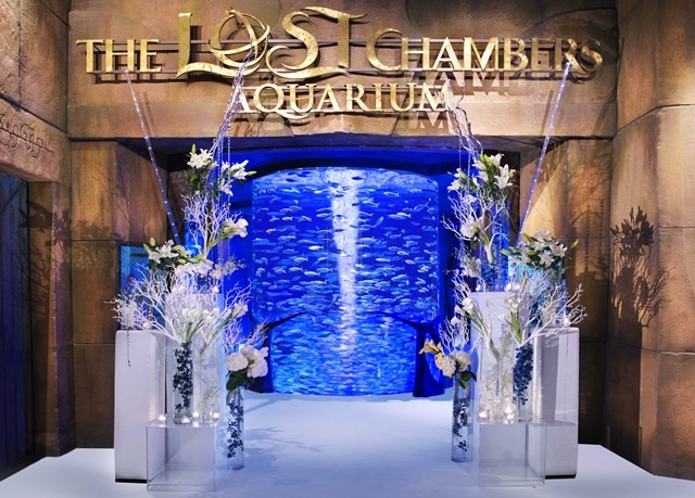 The Lost Chambers Aquarium