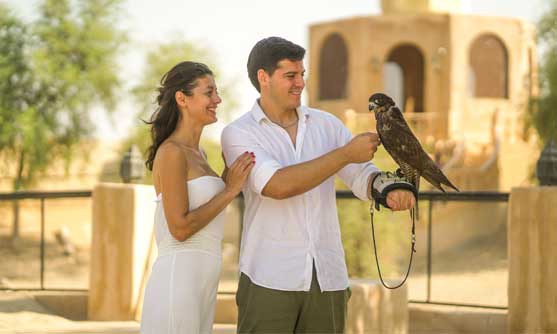 A couple enjoying a falconry experience in a serene desert setting.