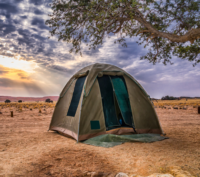 A green dome tent set beneath a tree in a desert at sunrise or sunset.